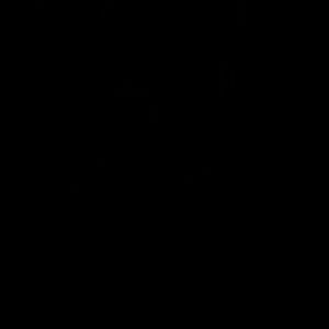 Meet your Posher, Damien